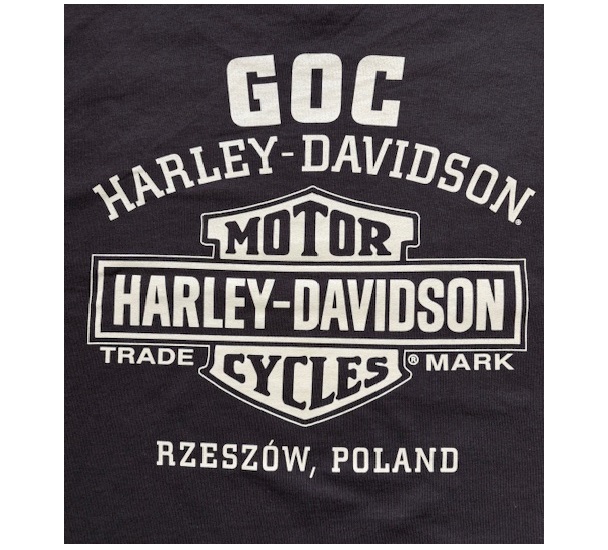 T-SHIRT MĘSKI HONOR CIEMNY BRĄZ - obrazek 2