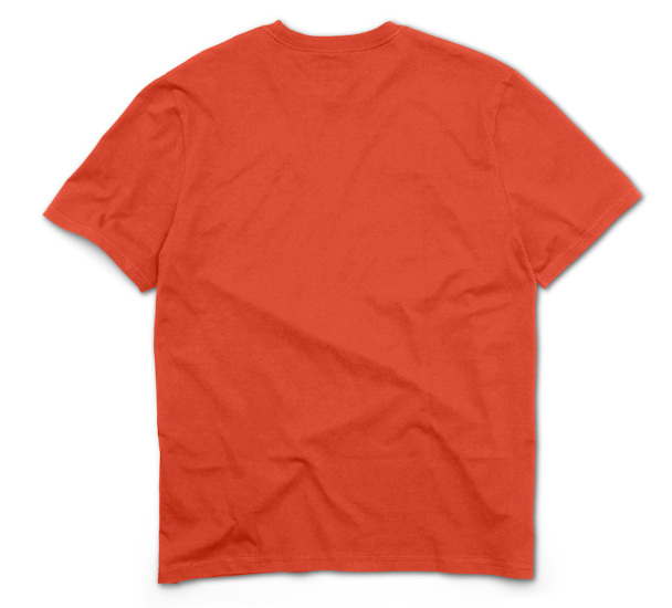 T-SHIRT MĘSKI STANDARD B&S VINTAGE ORANGE - obrazek 2
